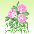 アサガオ【ピンク】