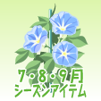 アサガオ【青】