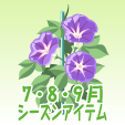 アサガオ【紫】