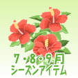 ハイビスカス【赤】