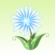 花火華【菊先蒼閃光】
