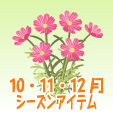 コスモス【紅】