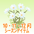 コスモス【白】