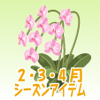胡蝶蘭【ピンク】