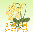 胡蝶蘭【黄】