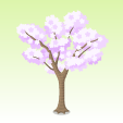 チャリティー桜【紫】