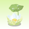 蓮【白雅月扇】