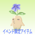 ニコットマンドラ【マジックブルー】