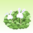 ニコットうさぎ草