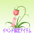 風鈴花【紅】