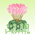 シクラメン【ピンク】