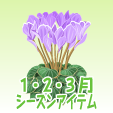 シクラメン【紫】