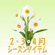 スイセン【白】
