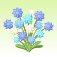 金平糖の花【清水】