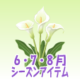 カラー【白】