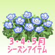 ネモフィラ【ブルー】