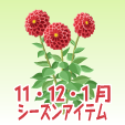 ダリア【赤】