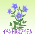 桔梗【紫】