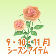 ロイヤルローズ【ピンク】