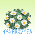 ノースポール
