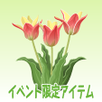 アンシラ【レッド】