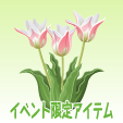 アンシラ【ピンク】