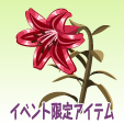 ベルベットのユリ【深紅】