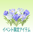 クロッカス【ブルー】