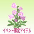 カンパニュラ【モルガナイト】