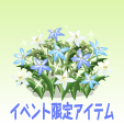 はぐれ星のイソトマ【青】