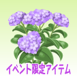 ヘリオトロープ