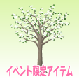 ハナミズキ【白】