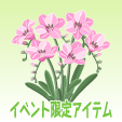 フリージア【ピンク】