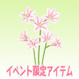 リコリス【インカルナータ】