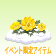 福寿草