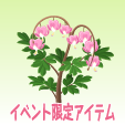 ケマンソウ【ピンク】