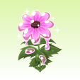 ハニーフラワー【ピンク】