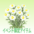 カモミール