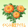 ランタナ【オレンジ】