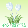 レースのチューリップ【ホワイト】