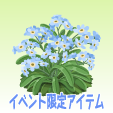 勿忘草