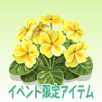 プリムラ【黄】