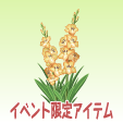 グラジオラス【オレンジ】