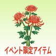 菊【紅】