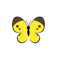 キラキラ