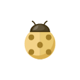 キラキラ