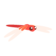キラキラ