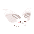 キラキラ