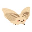 キラキラ