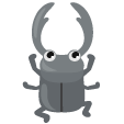 キラキラ
